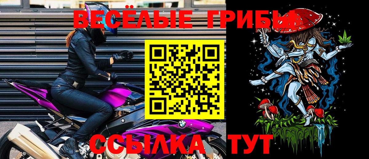 Псилоцибиновые грибы GOLDEN TEACHER Евпатория