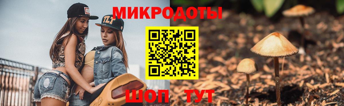 Галлюциногенные грибы Psilocybine cubensis  Псилоцибиновые грибы мухоморы  Вход с VPN  Евпатория 